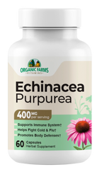 Echinacea Purpurea
