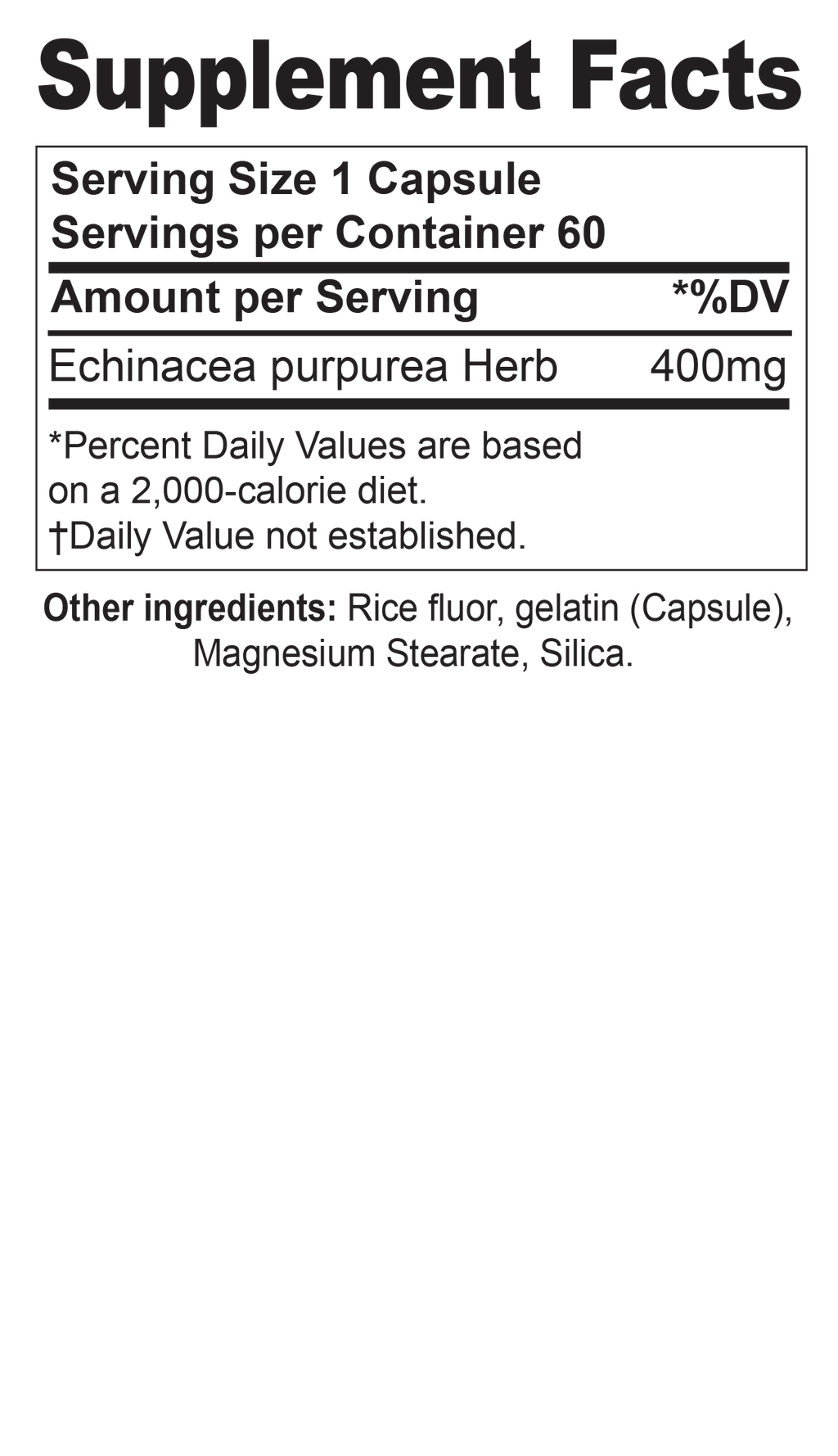Echinacea Purpurea
