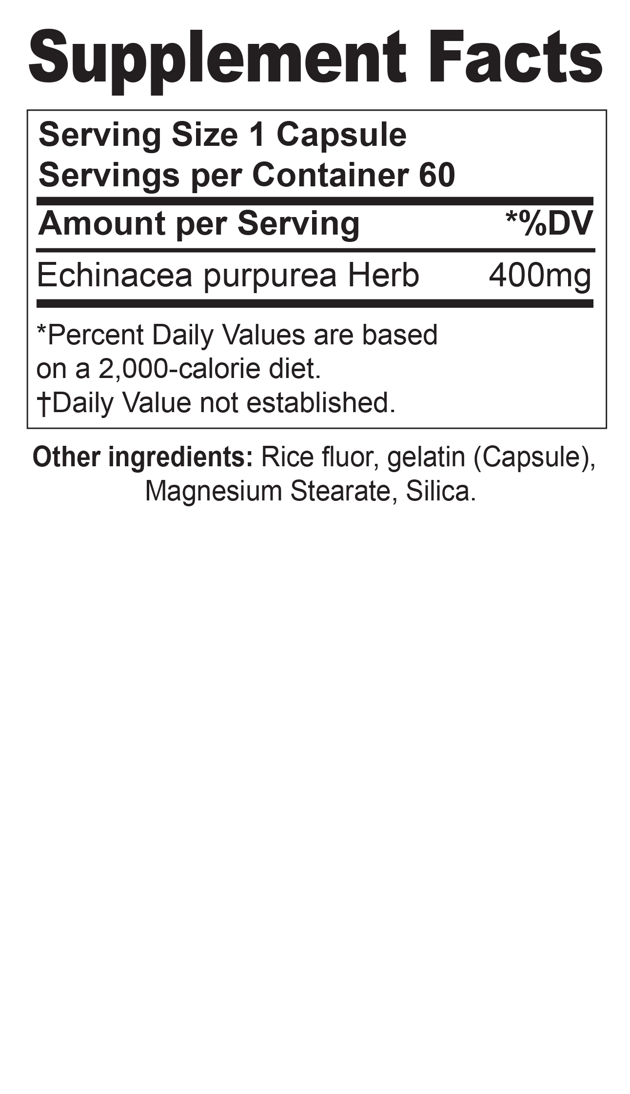 Echinacea Purpurea