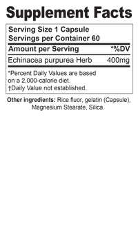 Echinacea Purpurea
