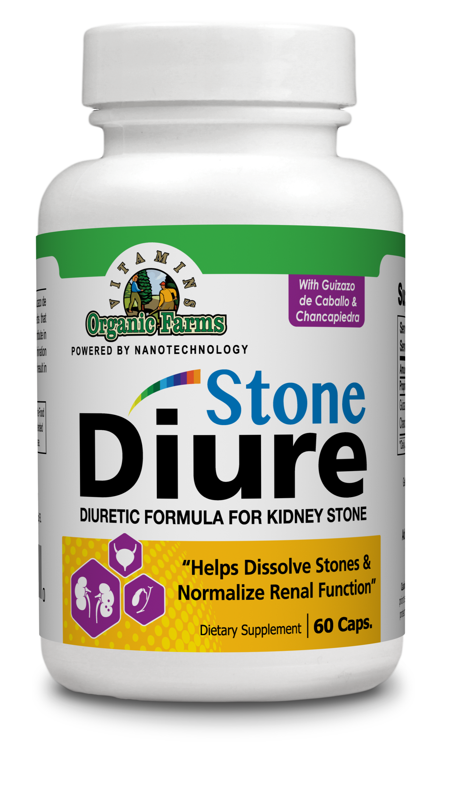 Urinary System Kit
