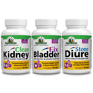 Urinary System Kit